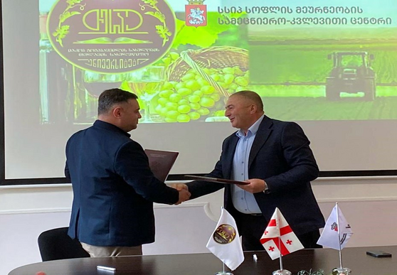 The Scientific-Research Center of Agriculture deepens cooperation with Telavi State University in scientific direction