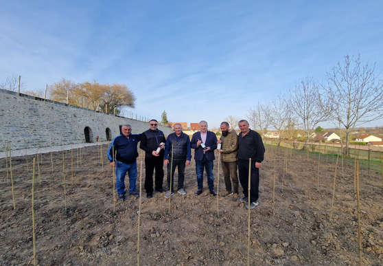 ლევილის ქართველთა მამულში  ვაზის გაშენების სამეცნიერო-მეთოდურ მხარდაჭერას სოფლის მეურნეობის სამეცნიერო-კვლევითი ცენტრი უზრუნველყოფს