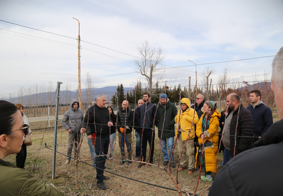 ჯიღაურაში ხეხილის ინტენსიური ბაღების მოვლის თანამედროვე მეთოდებზე სამეცნიერო-პრაქტიკული სემინარი გაიმართა