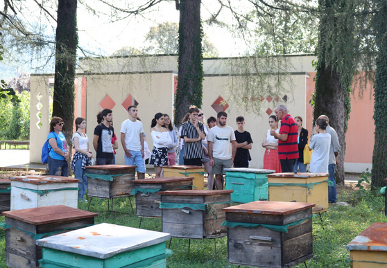 Schoolchildren were trained at Mukhuri Beekeeping Base