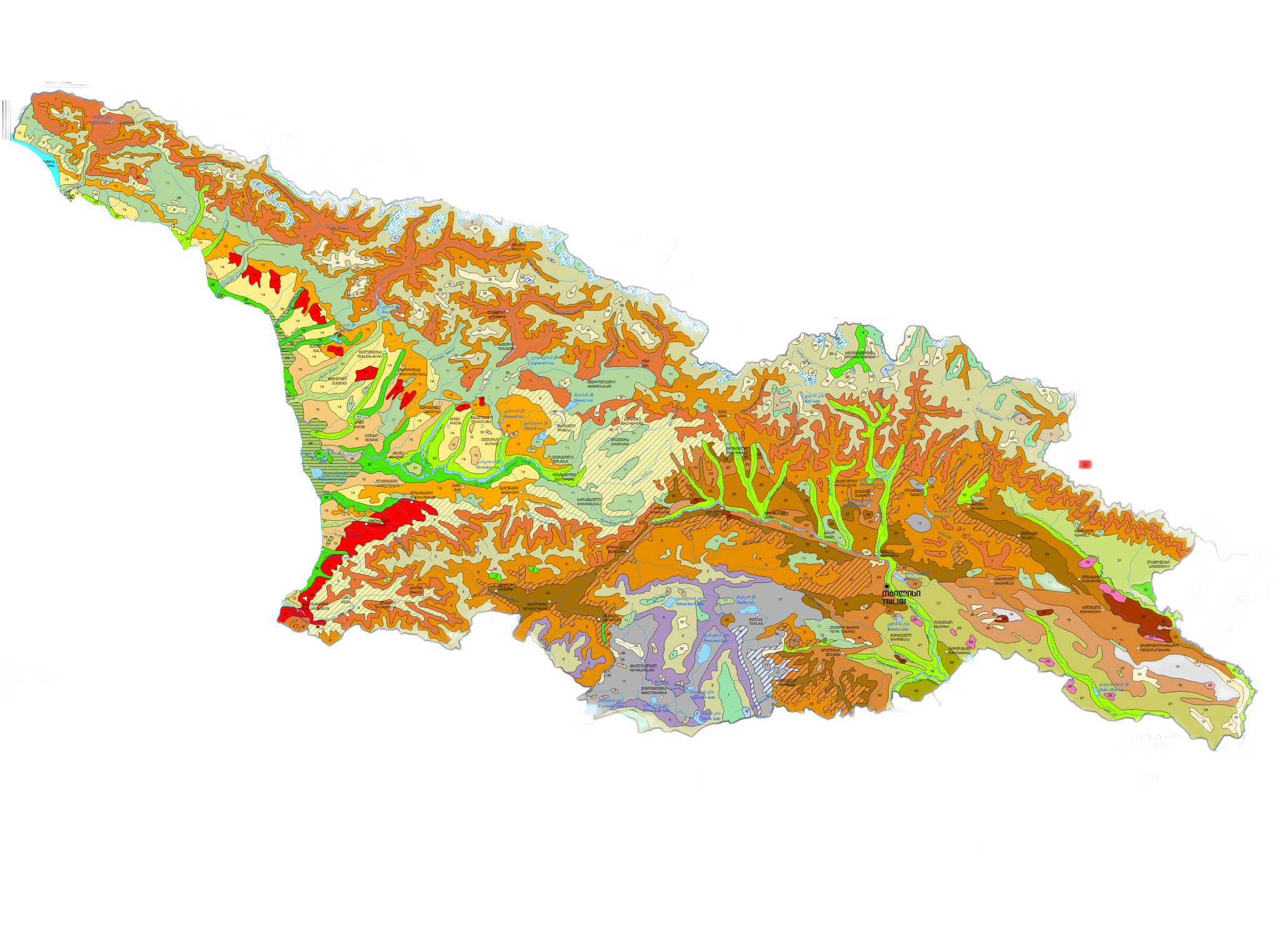 5 დეკემბერი - ნიადაგის მსოფლიო დღეა!
