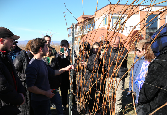 საქართველოს საპატრიარქოს დეკორატიული მებაღეობის კოლეჯის სტუდენტებისთვის ჯიღაურაში პრაქტიკული სწავლება გაიმართა