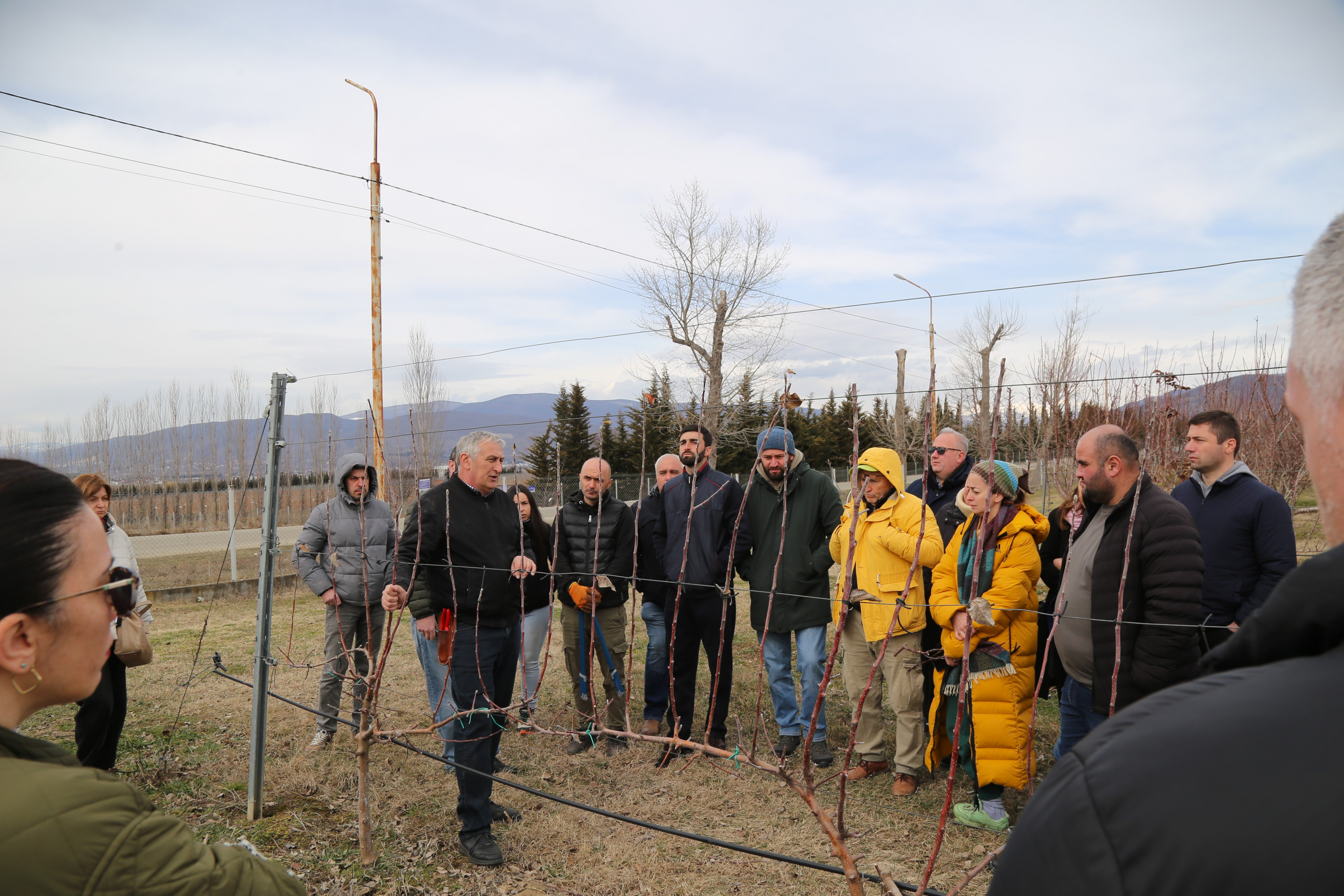 ჯიღაურაში ხეხილის ინტენსიური ბაღების მოვლის თანამედროვე მეთოდებზე სამეცნიერო-პრაქტიკული სემინარი გაიმართა